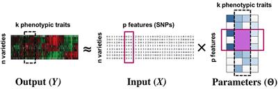 Simultaneous Parameter Learning and Bi-clustering for Multi-Response Models